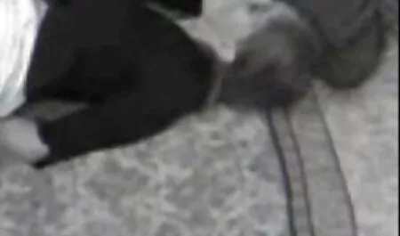 L'uomo video porno gratis di donne pelose ha messo giù il bambino quel pollo in bagno sul pavimento e friggerli nella vagina