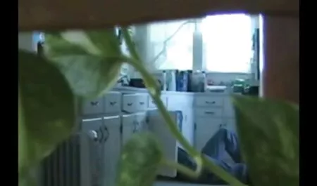 Una bella ragazza, con non è accuratamente spinto nel bagno del suo amico, si tolse i pantaloni insieme con costume da bagno in là e, infine, afferrò il video gratis di donne anziane suo grande pene e grasso, con un divertente accarezzare questa cosa con le labbra.