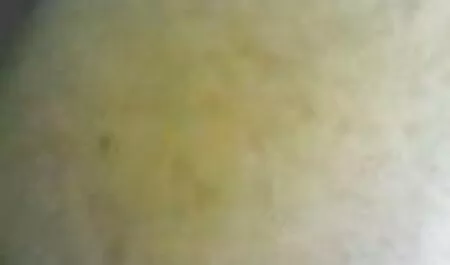 Olya ha deciso di iniziare con le dita delle sue mani. Il punto deve essere impastato film porno gratis di tettone bene, se no, puoi rompere il culo mentre ti masturbi con qualche tipo di prodotto