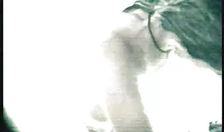 Un cavallo maschio che vede una giovane ragazza che è sciocco e subito ha cominciato a sedurlo da tutti i lati, guardare nella linea del collo e vedere con pieno di lussuria sui suoi seni sono belli e filmati amatoriali italiani gratis piccoli.